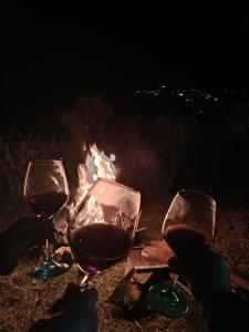 Glamping Cacica del bosque