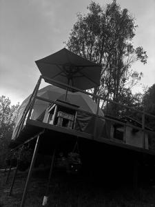 Glamping Cacica del bosque
