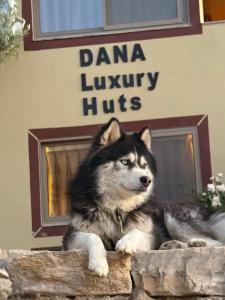 Dana luxury huts
