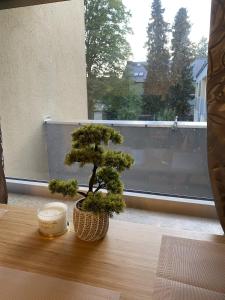 Quiet, cozy apartment near the center