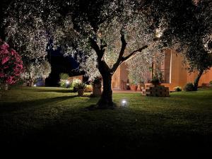 Agriturismo Il Giardino Degli Olivi Appartamenti
