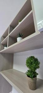 Domus Fra img11