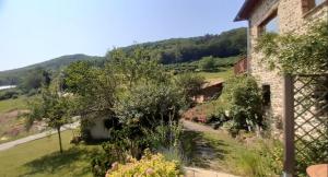 Gîte La Fond Du Mont Popey