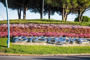 Apartment 80m from the beach