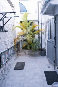 Casa con 3 habitaciones en san andres islas espitia casa boutique