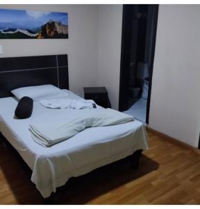 Hotel Platino Plaza