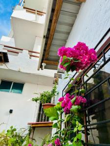 SUITE romantica terraza vsita