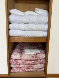 Cozy Family Room 202 in Matsumoto