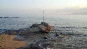O Fotis