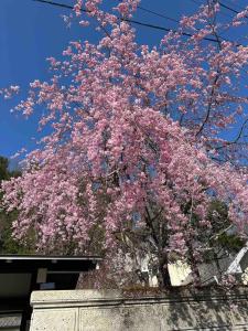 Villa West Hills, Japanese-Style Villa with a Garden, Up to 8 Guests, Parking Free, BBQ Available