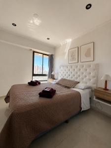 Suite Premium Vista Panorámica