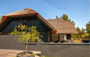 Lovely Home In Blåvand With Wifi