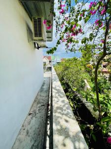 Balcony Garden Studio