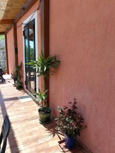 La villa di zio Pino