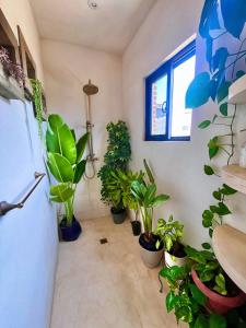 Private House, 1-Min Walk to Beach, Ocean Views