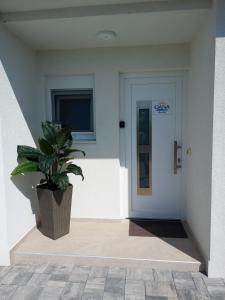 Villa OANA - PRIVAT POOL