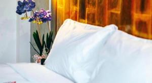Seven Days a Week Resort