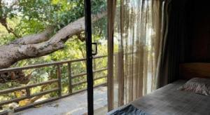 Mango House - Seaview - Homestay.
