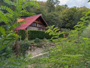 Casa din padure