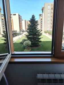 New Belgrade nest A blok