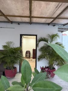 Rooftop Retreat- Peaceful & Luxurious Homestay BnB