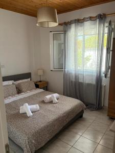 Lemon tree apartment