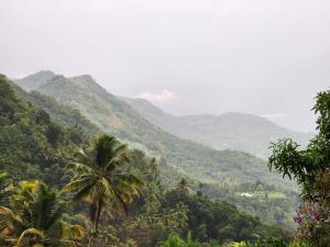 SenSac Paithalthattu Homestay