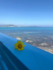 Dommo e Mare