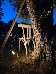 Trullo Lei by Borgo Paoli, Romantic Experience with Pool & Olive Trees in Ostuni