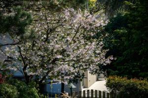 Jardin De Jany - 25 Min Du Puy Fou