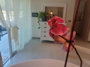 Itedolù Holiday Home