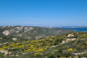 Villa Sardinia Costa Smeralda img16