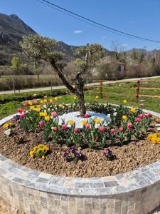 Sunny Valley Retreat near Skadar Lake