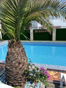 Hotel Zhara