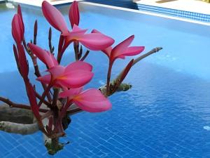 Lee Garden Resort