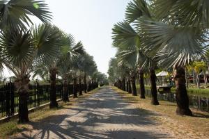 Suanpalm Farmnok