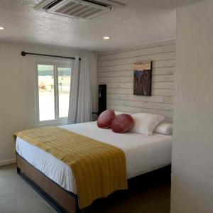 Stunning Modern Suite Rental with Private Patio and Fire Table for a Memorable Getaway in Canon City, Colorado