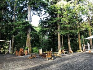 Eco Friendly Safari Tent with a Creek View in Forks, Washington, near the Hoh Rainforest