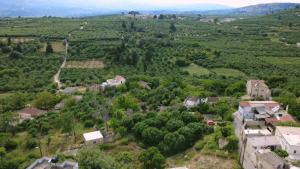 Antonys Pomegranate a Peaceful Village Retreat