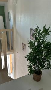 3 chambres vue mer piscine parking clim