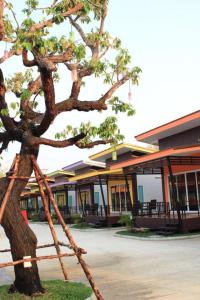 D-Sine Resort