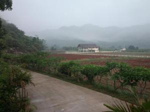 Baan Nub Dao