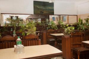 OYO 374 Hotel Holiday Taj (p) Ltd