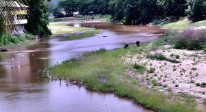 River Bank Resort