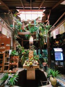 Rain Forest Resort Phitsanulok