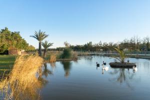B&B / Chambres d'hotes Abri Cosy - Suite Romantique en Camargue : photos des chambres