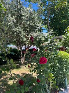 NEW apartment in Durres
