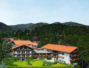 Hotel Alpenhof - 格罗斯哈特彭宁