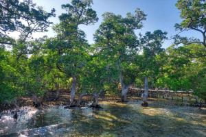 Alcoy Plaza Eco Park Cebu