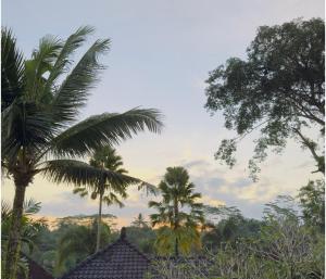 Jambangan bali villa ubud